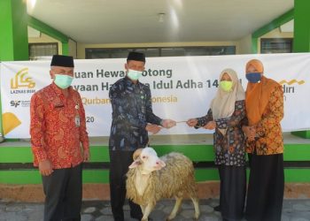 Kepala Kemenag Serahkan Bantuan Hewan Kurban