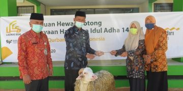 Kepala Kemenag Serahkan Bantuan Hewan Kurban