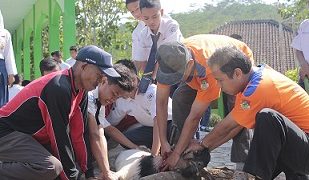 Latihan Qurban di MTsN Kedu Temanggung
