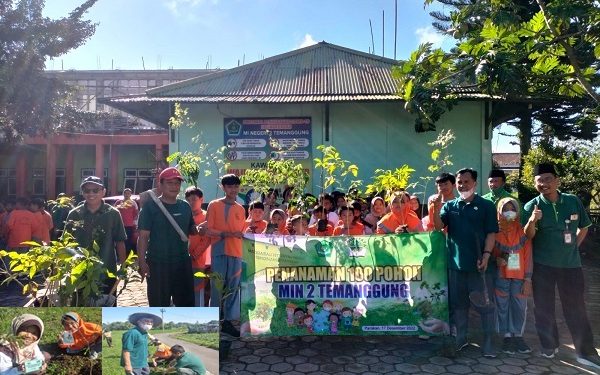 Gerakan Aksi Tanam 100 Pohon MIN 2 Temanggung